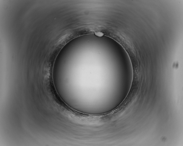 X0000099560032200805161504