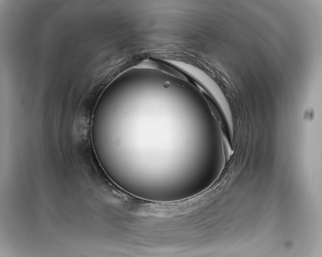 X0000099560033200805161504