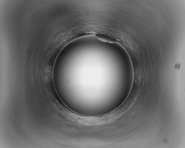 X0000099560034200805161504