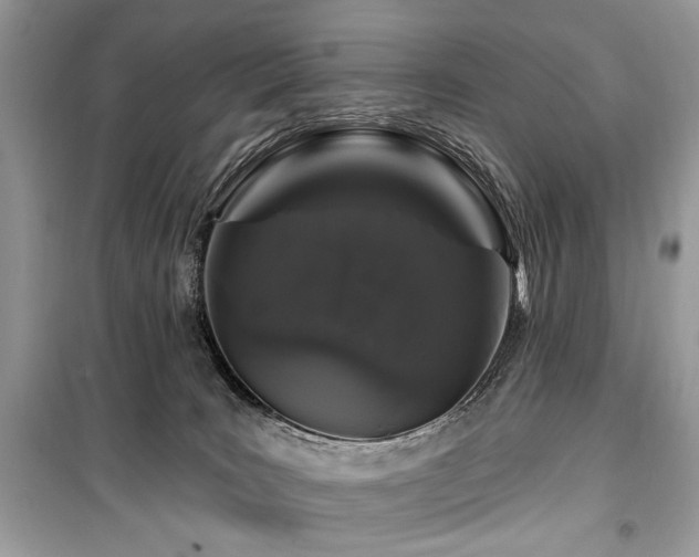 X0000099560035200805161504