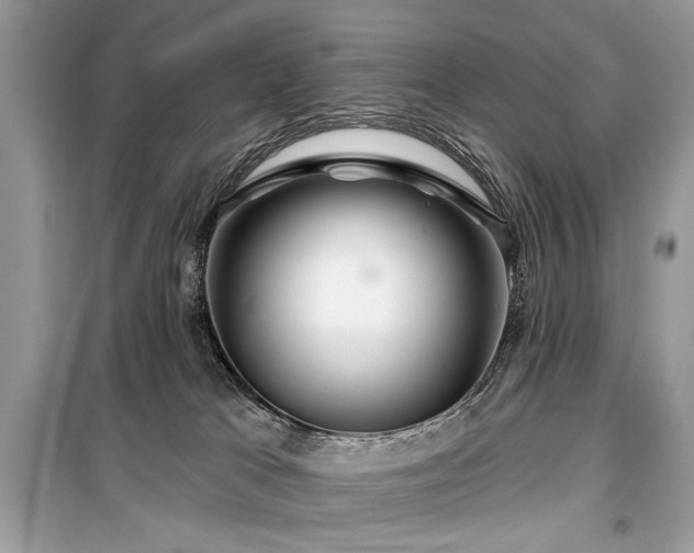 X0000099560037200805161503