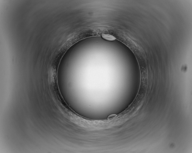 X0000099560038200805161503