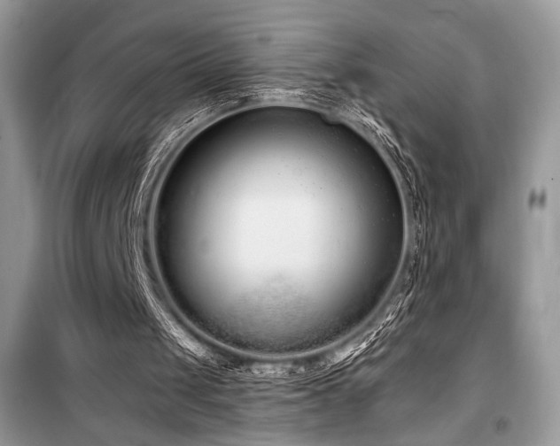 X0000099560049200805161502