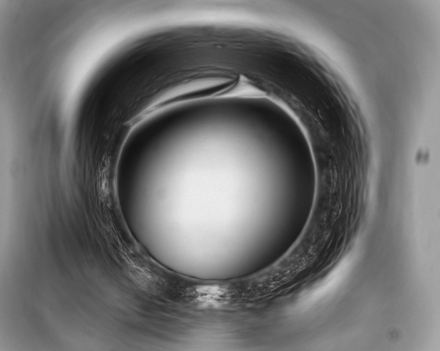 X0000099560050200805161502