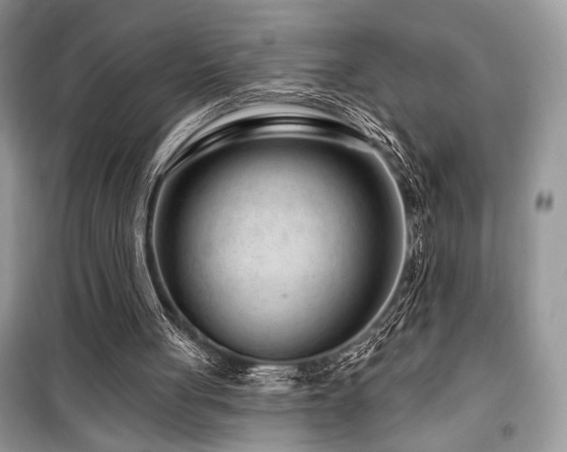 X0000099560051200805161502