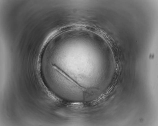 X0000099560053200805161502