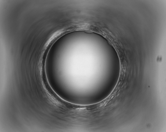 X0000099560054200805161502