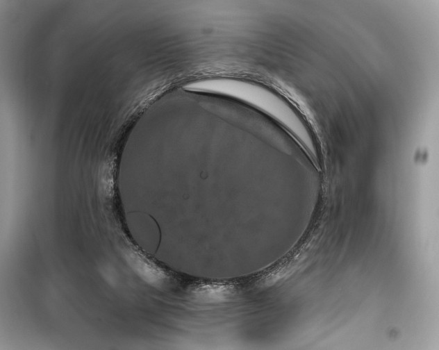 X0000099560065200805161503