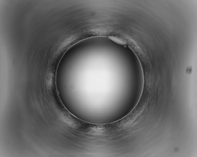 X0000099560071200805161503