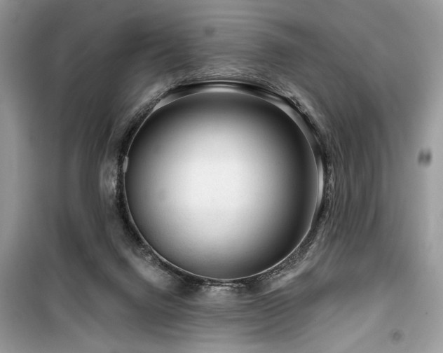 X0000099560072200805161503