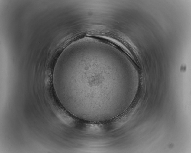 X0000099560073200805161503