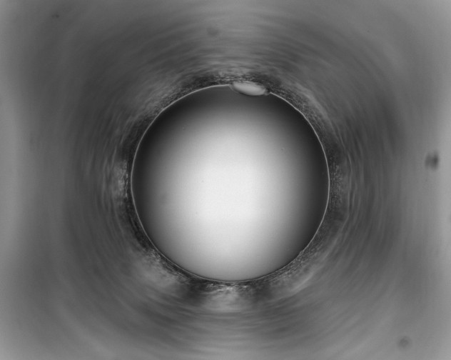 X0000099560083200805161503