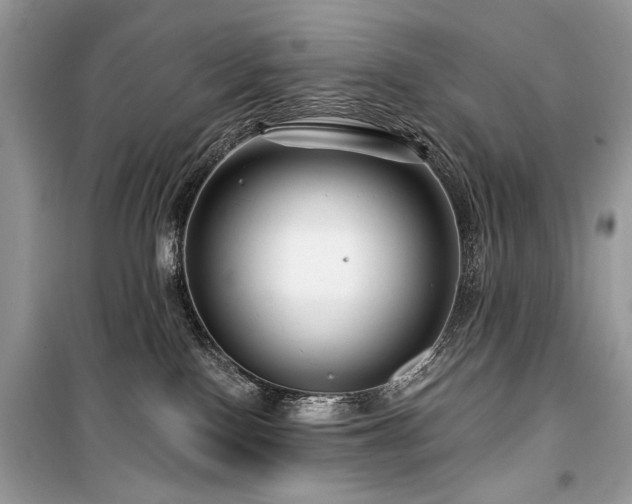 X0000099560090200805161503