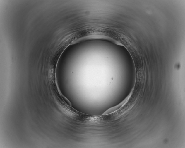 X0000099560092200805161503