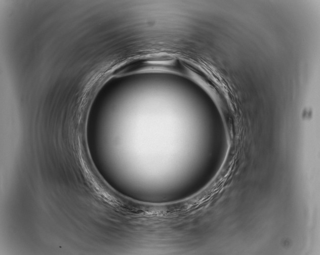 X0000099560097200805161502