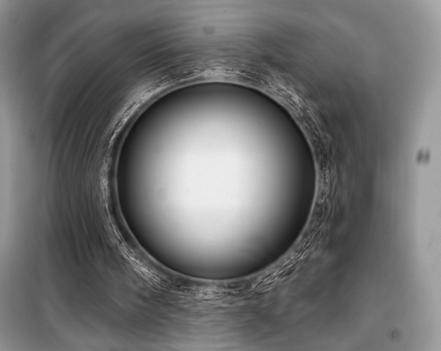 X0000099560098200805161502