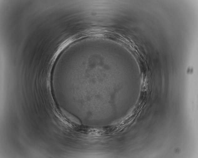 X0000099560099200805161502