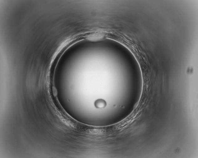 X0000099560102200805161502