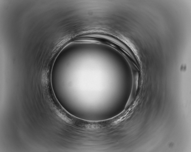 X0000099560105200805161502