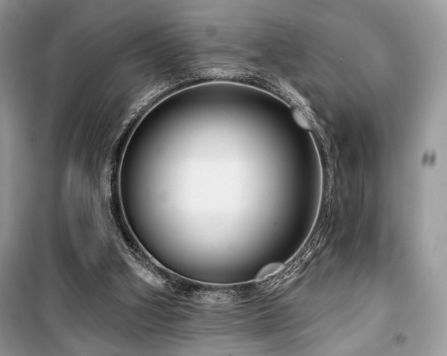 X0000099560106200805161502