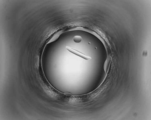 X0000099560109200805161502