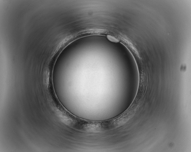 X0000099560110200805161502