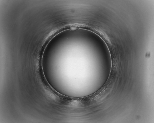 X0000099560111200805161502