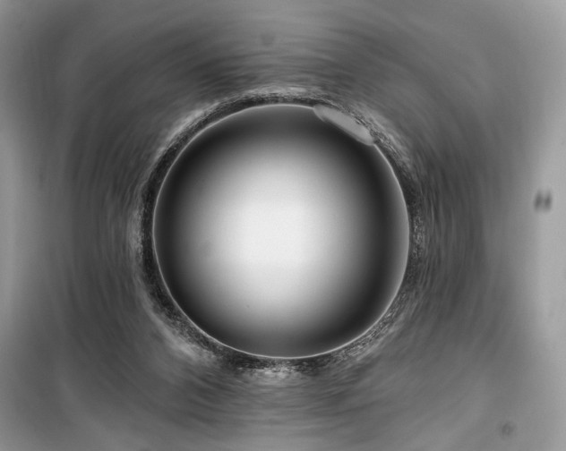 X0000099560112200805161502