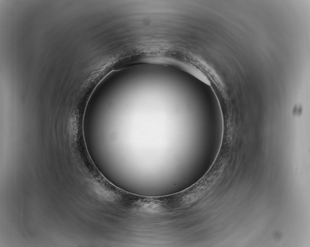 X0000099560113200805161502