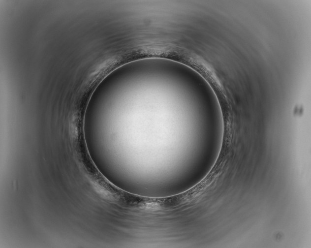 X0000099560114200805161502