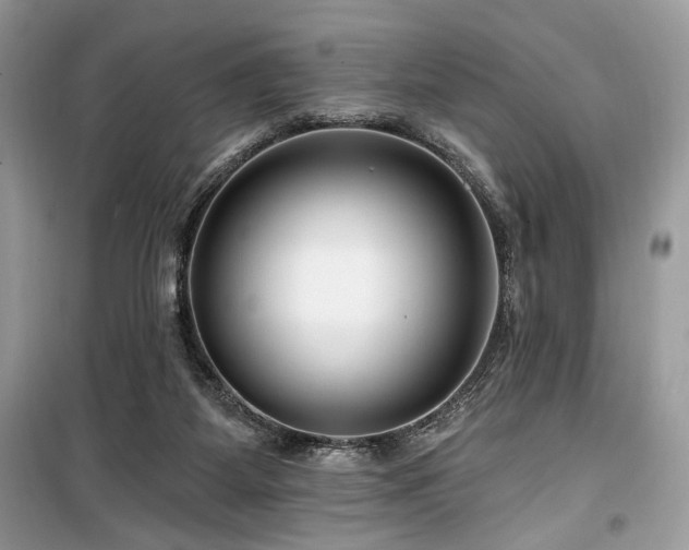 X0000099560115200805161502