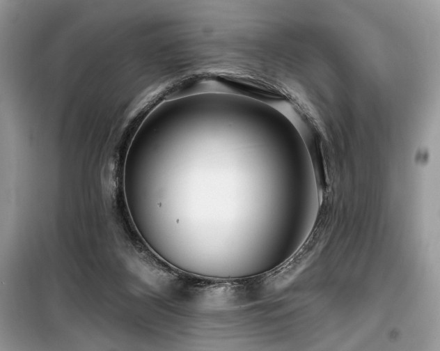 X0000099560116200805161502