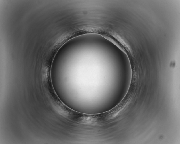 X0000099560117200805161502