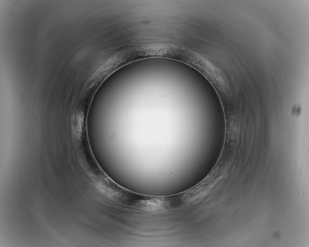 X0000099560118200805161502