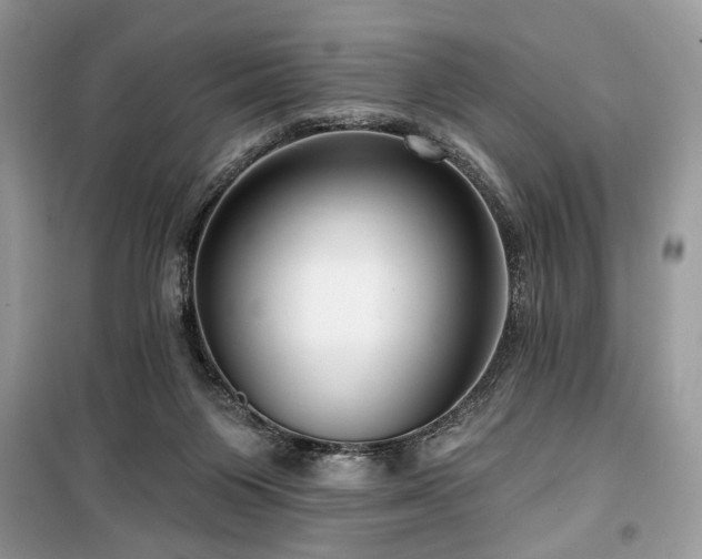 X0000099560119200805161502