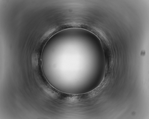 X0000099560120200805161502