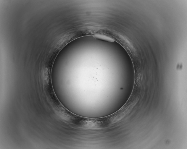 X0000099560121200805161502