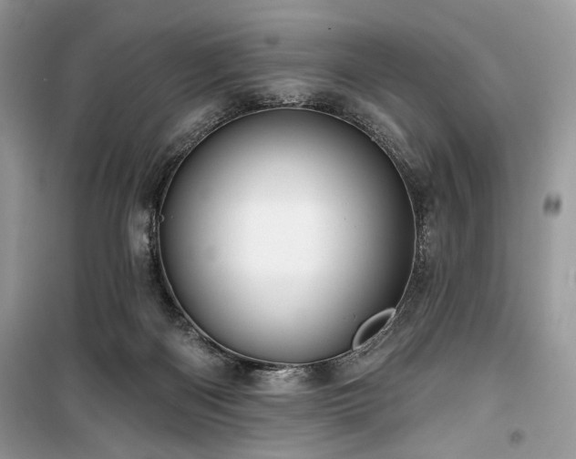 X0000099560122200805161502