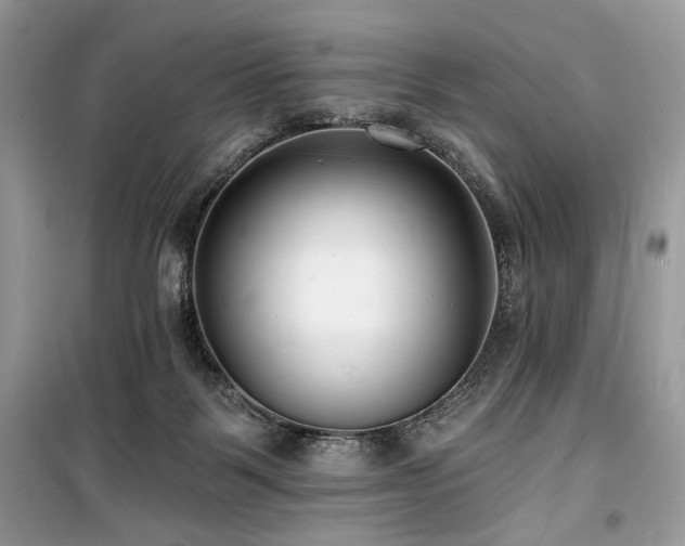 X0000099560123200805161502