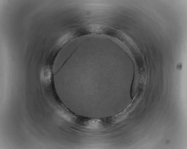 X0000099560124200805161502