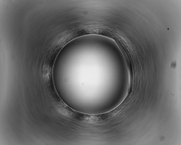 X0000099560125200805161502