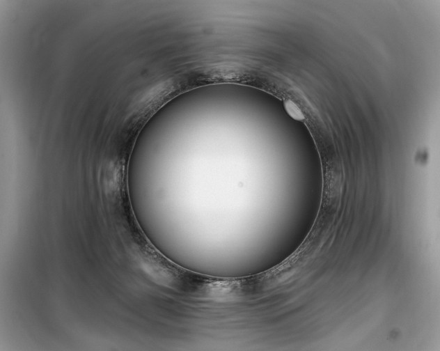 X0000099560126200805161502