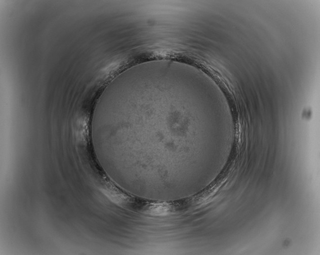 X0000099560127200805161502