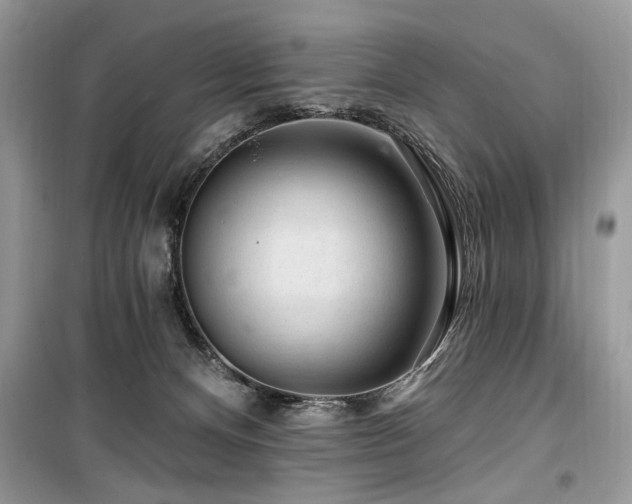 X0000099560128200805161502