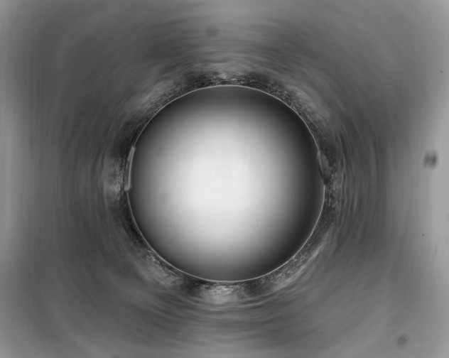 X0000099560129200805161502