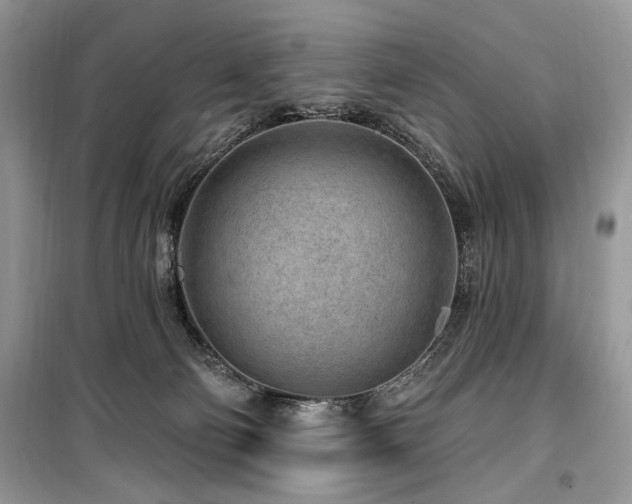 X0000099560130200805161502