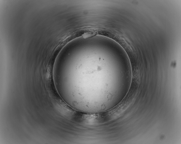 X0000099560131200805161502