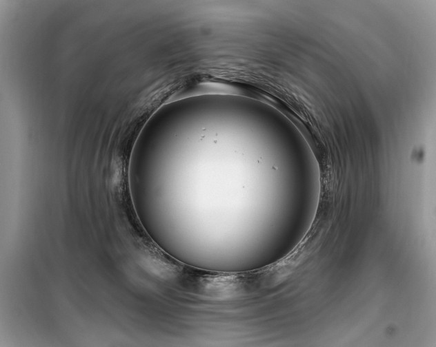 X0000099560132200805161502