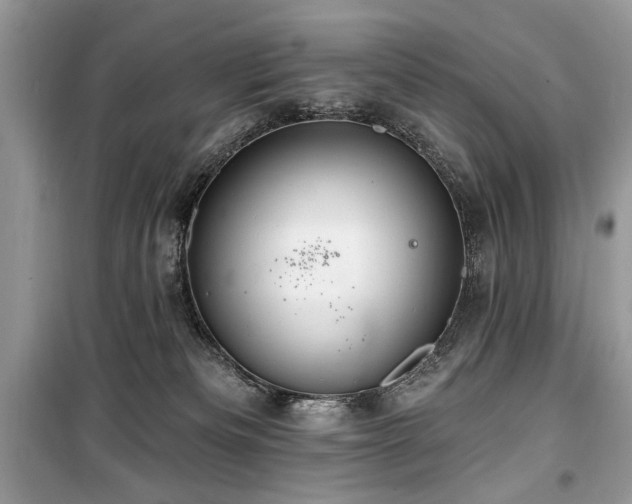 X0000099560133200805161502