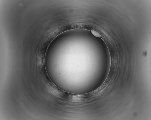 X0000099560134200805161502